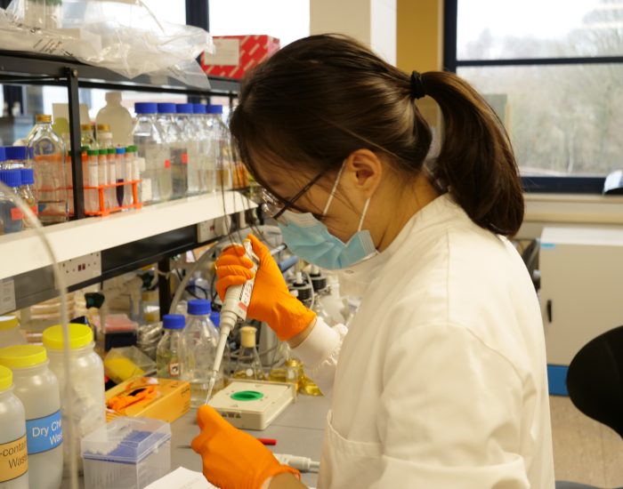 Suffolk economy in lab