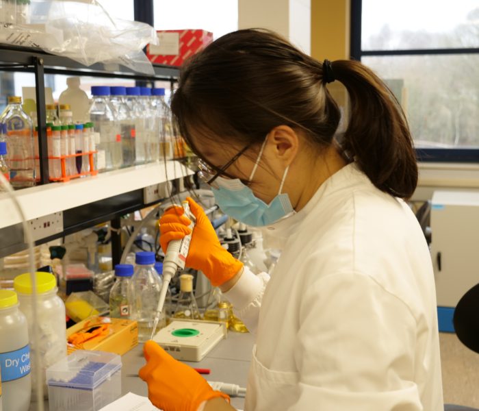 Suffolk economy in lab